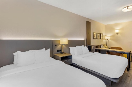 Comfort Inn & Suites Sayre image 9